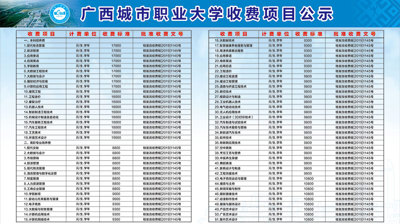 2021年押球,押球(中国)收费项目公示