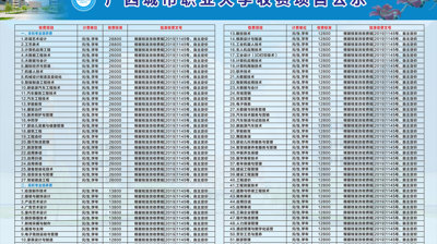 2024年押球,押球(中国)收费项目公示